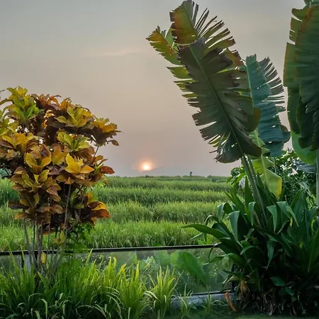 Villa Pima, Sumptuous 2Br Private Villa Surrounded By Rice Fields In A Quiet Area Canggu Extérieur photo