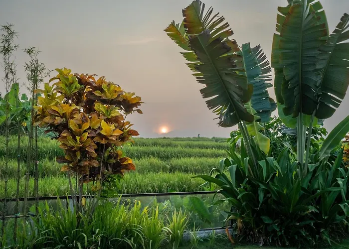 Villa Pima, Sumptuous 2Br Private Villa Surrounded By Rice Fields In A Quiet Area